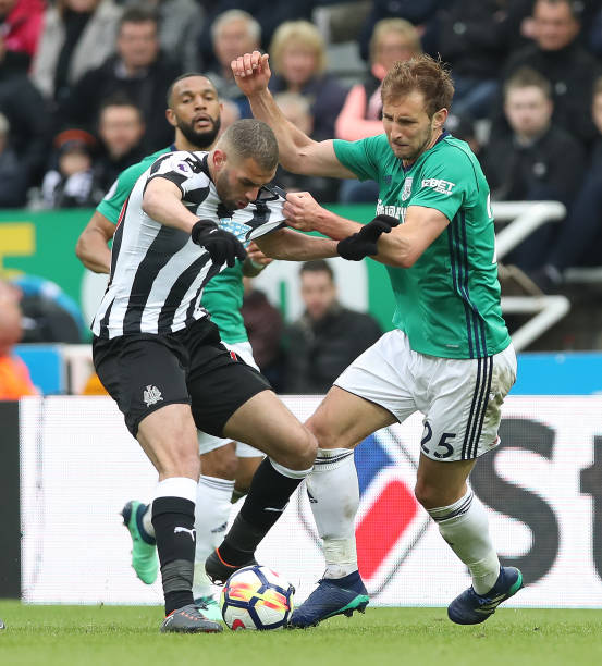 特别提及 特别提及