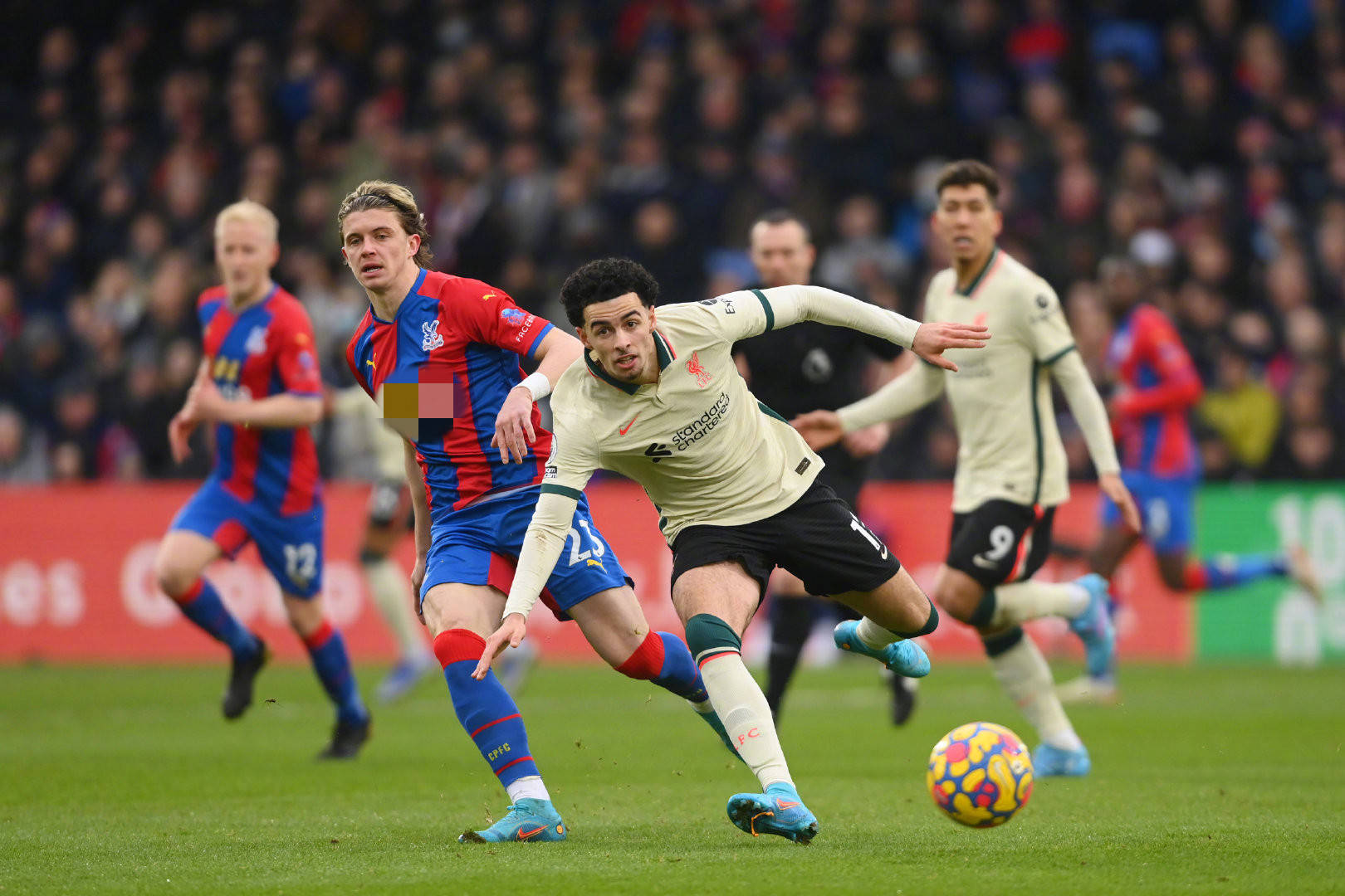 能够专注于 能够专注于